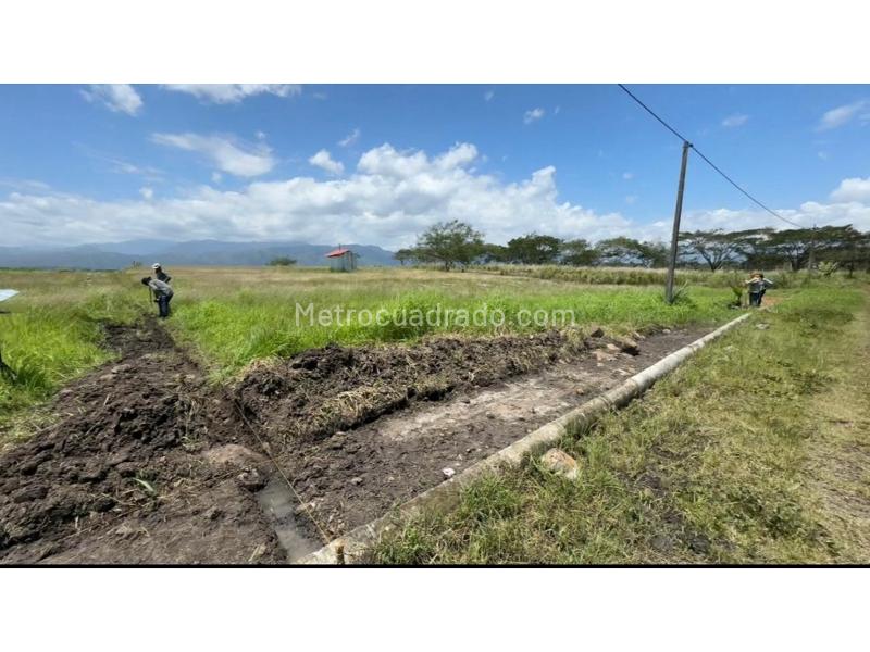 Lote en Venta, Aparco, Ibagué - Vista 3