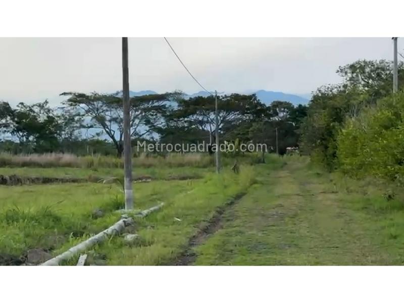 Lote en Venta, Aparco, Ibagué - Vista 5