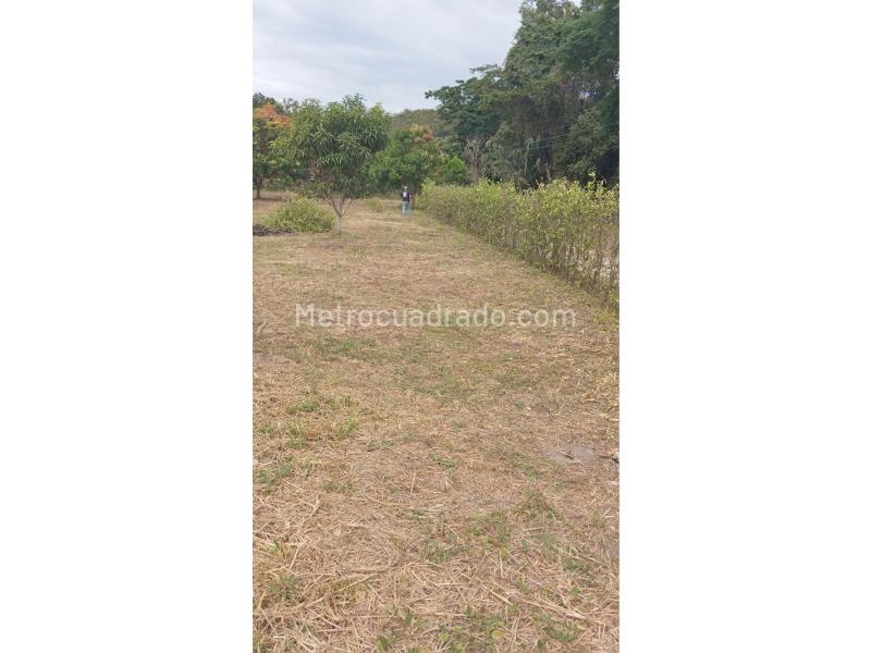 Lote en Venta, Via Chaguala, Ibagué - Vista 2
