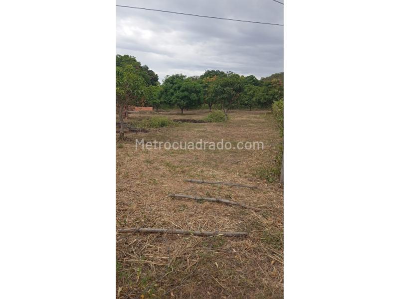 Lote en Venta, Via Chaguala, Ibagué - Vista 3
