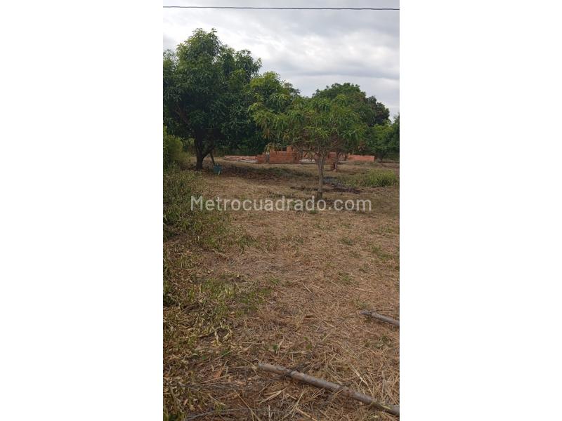 Lote en Venta, Via Chaguala, Ibagué - Vista 5