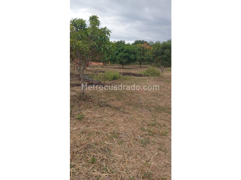 Lote en Venta, Via Chaguala, Ibagué - Más