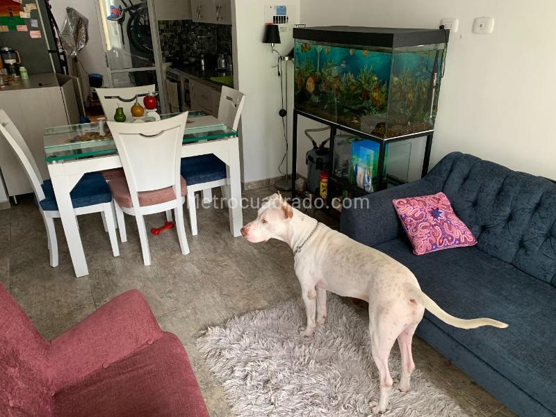Casa – Dosquebradas - Vista 5
