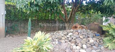 Casa en venta en Corozal, Cúcuta · foto 15 de 18