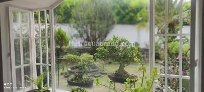 Casa de 4 alcobas en venta en Pance, Cali, 332 m² · foto 17 de 20