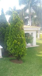 Casa de 4 alcobas en venta en Ciudad Jardin, Cali, 350 m² · foto 8 de 20