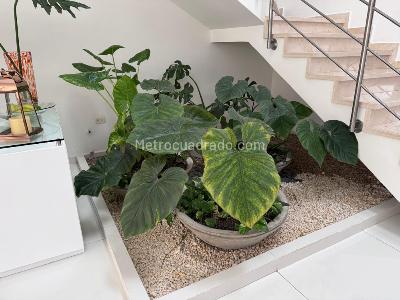 Casa de 5 alcobas en venta en Pance, Cali, 350 m² · foto 7 de 20