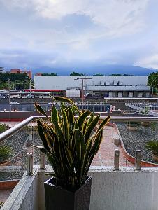Apartamento en venta en Valle Del Lili, Cali · foto 18 de 20