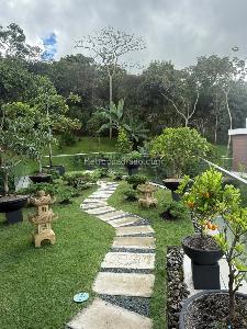 Casa de 4 alcobas en venta en Pance, Cali, 425 m² · foto 3 de 20