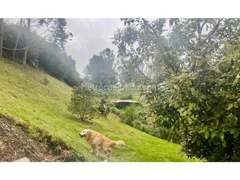Casa – Envigado - Vista 5