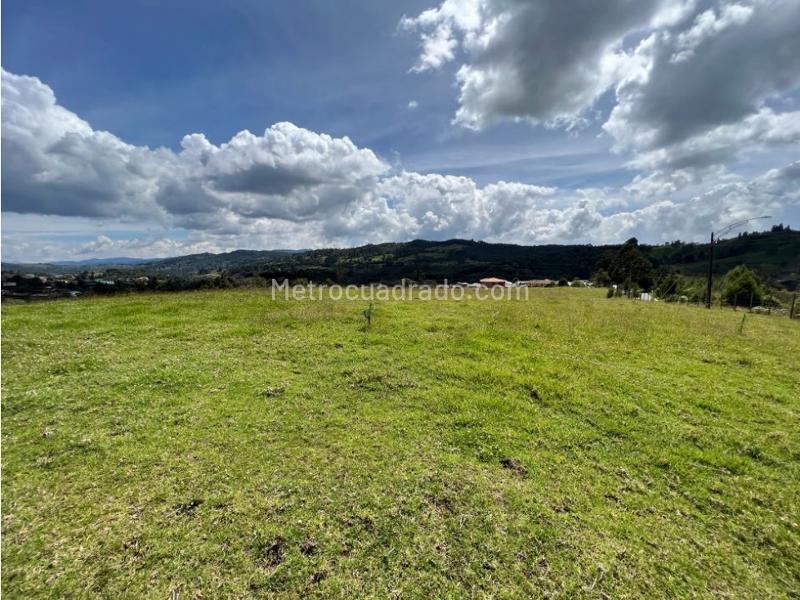 Lote en Venta, Pantanillo Envigado, Envigado - Vista 2