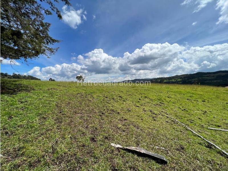Lote en Venta, Pantanillo Envigado, Envigado - Vista 3