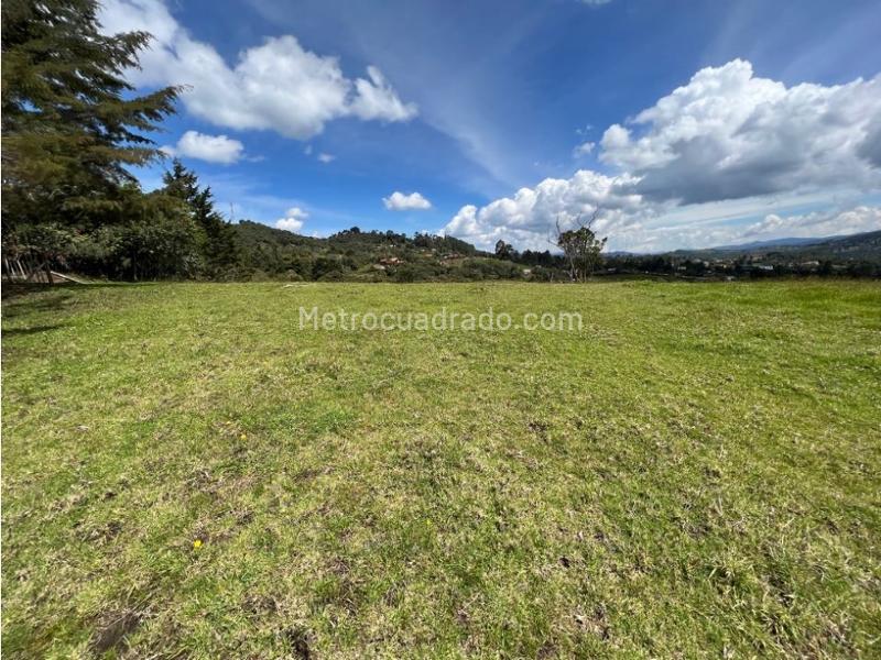 Lote en Venta, Pantanillo Envigado, Envigado - Vista 4