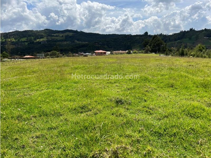Lote en Venta, Pantanillo Envigado, Envigado - Vista 5