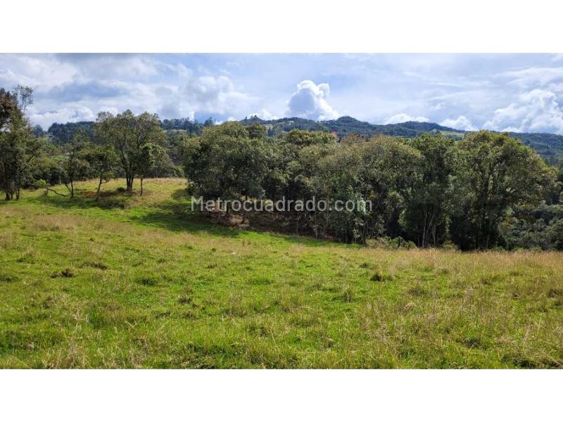Lote en Venta, Variante Aeropuerto, Envigado - Vista 2