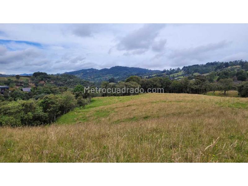 Lote en Venta, Variante Aeropuerto, Envigado - Vista 3