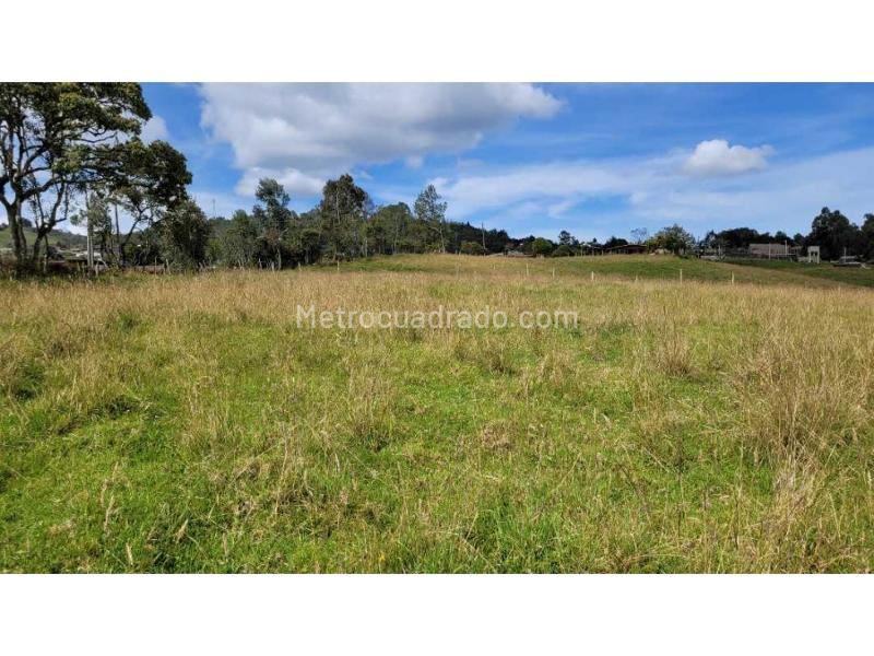 Lote en Venta, Variante Aeropuerto, Envigado - Vista 4