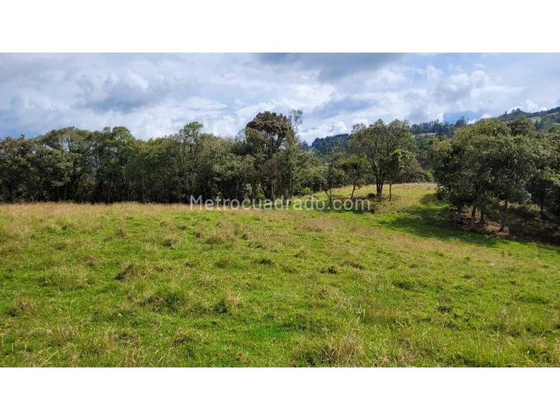 Lote en Venta, Variante Aeropuerto, Envigado - Vista 5