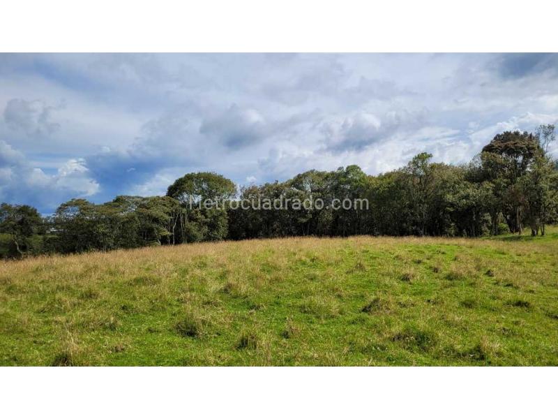 Lote en Venta, Variante Aeropuerto, Envigado - Más