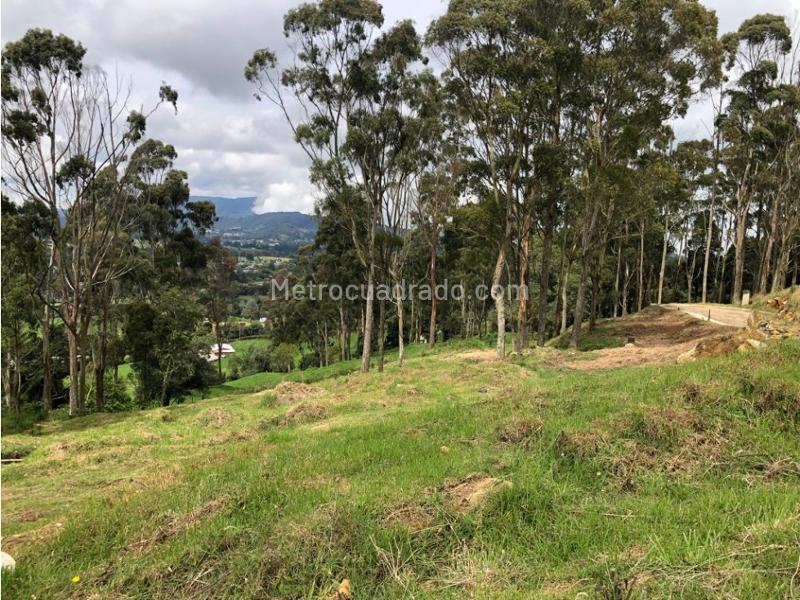Lote en Venta, Alto De Las Palmas, Envigado - Vista 2