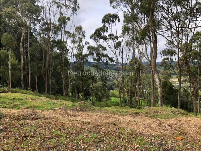 Lote en Venta, Alto De Las Palmas, Envigado - Vista 3
