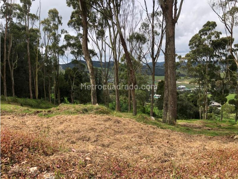 Lote en Venta, Alto De Las Palmas, Envigado - Vista 4