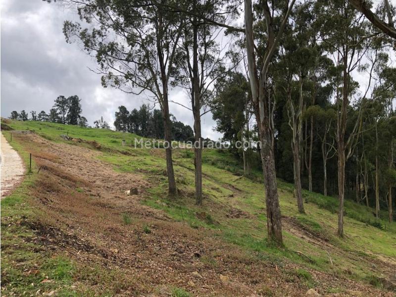 Lote en Venta, Alto De Las Palmas, Envigado - Vista 5