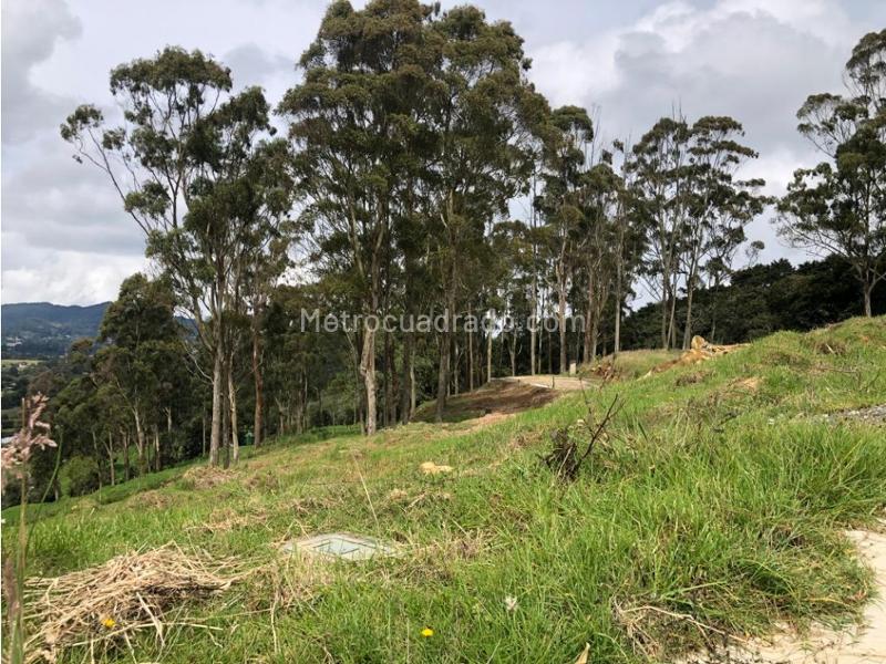 Lote en Venta, Alto De Las Palmas, Envigado - Más