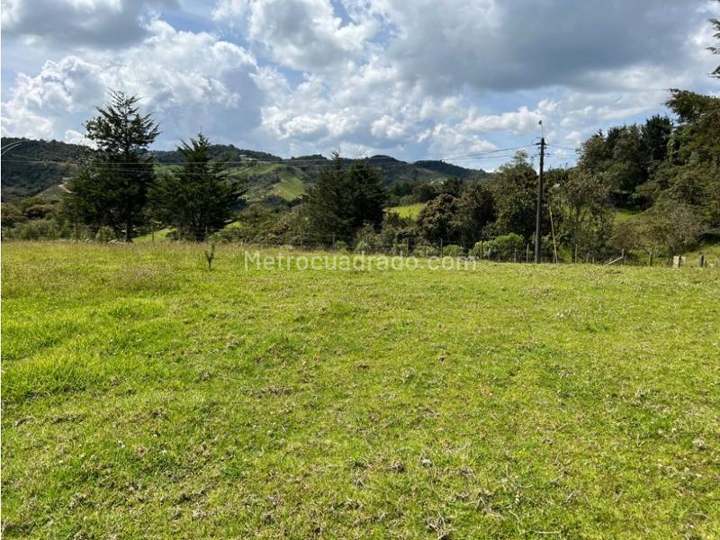 Lote en Venta, Pantanillo Envigado, Envigado - Vista 5