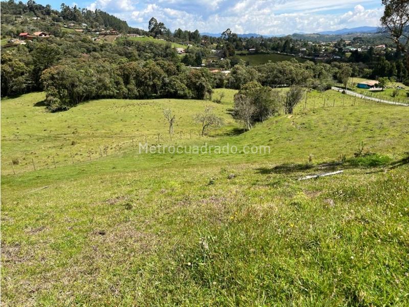 Lote en Venta, Pantanillo Envigado, Envigado - Más