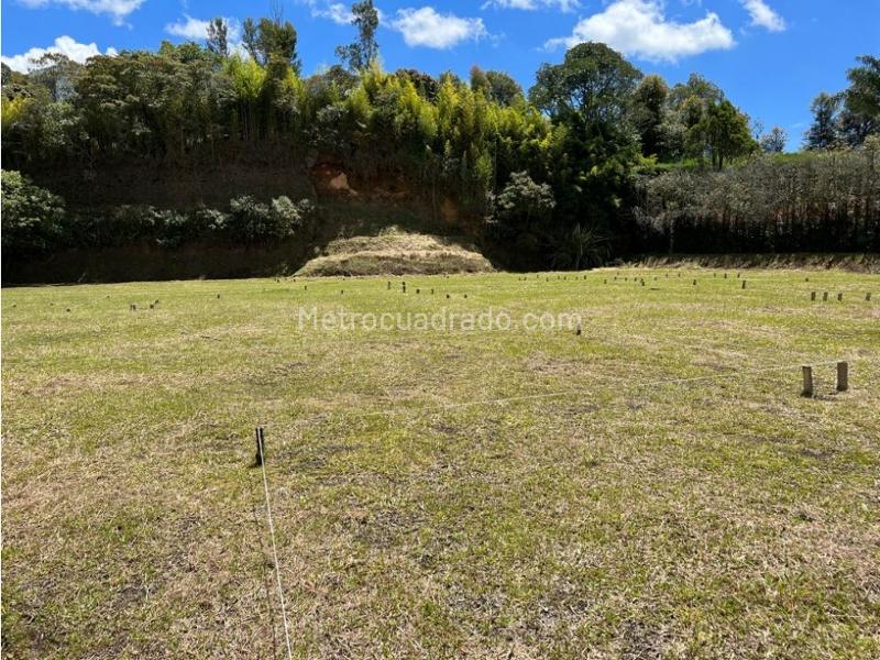 Lote en Venta, Llanogrande, Rionegro - Vista 2