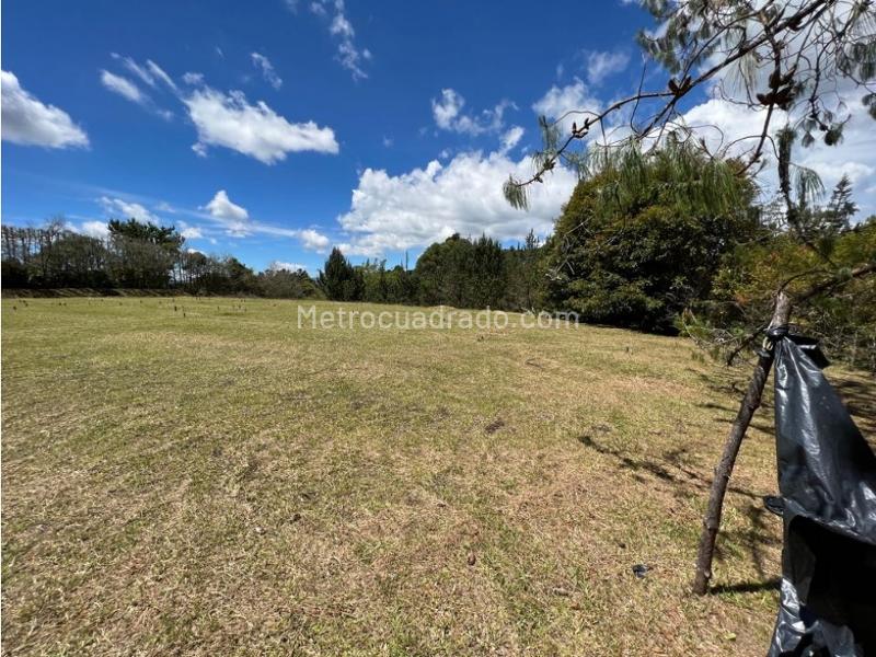 Lote en Venta, Llanogrande, Rionegro - Vista 3