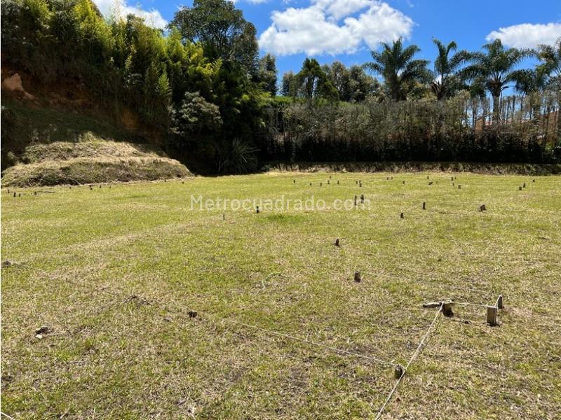 Lote en Venta, Llanogrande, Rionegro - Vista 5