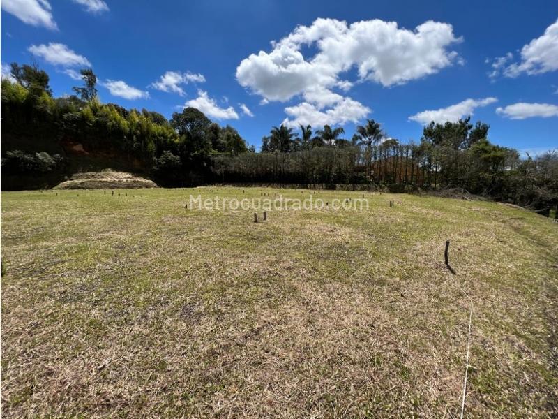 Lote en Venta, Llanogrande, Rionegro - Más
