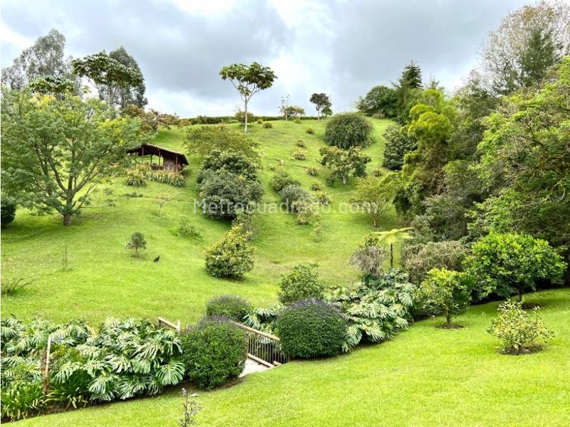 Casa – Carmen De Viboral - Vista 4