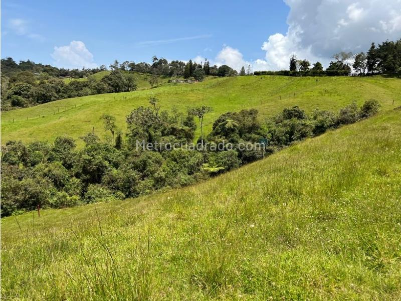 Lote en Venta, Pantanillo Retiro, Retiro - Vista 2