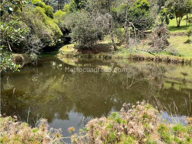 Lote en Venta, Pantanillo Retiro, Retiro - Vista 3