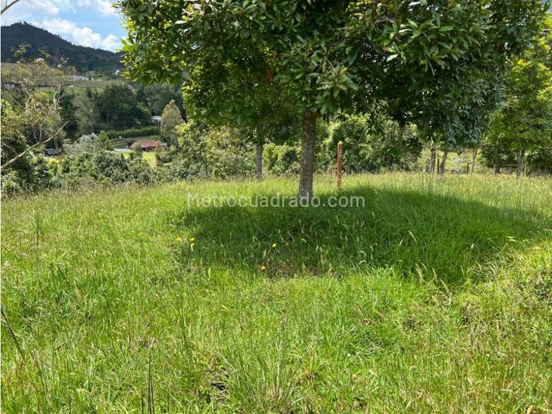 Lote en Venta, Pantanillo Retiro, Retiro - Vista 4