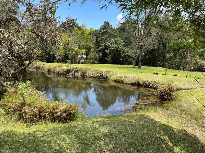 Lote en Venta, Pantanillo Retiro, Retiro - Vista 5