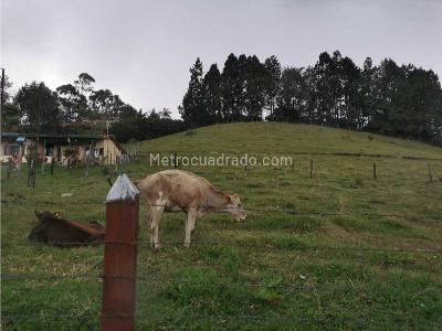 Casa de 2 alcobas en venta en Cabeceras, Rionegro, 200 m² · foto 5 de 10
