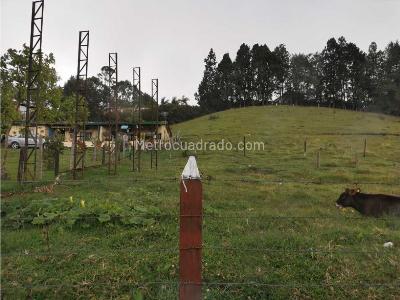 Casa de 2 alcobas en venta en Cabeceras, Rionegro, 200 m² · foto 6 de 10