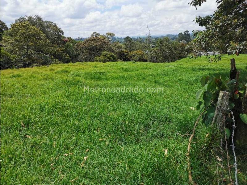 Lote en Venta, Pontezuela, Rionegro - Vista 2