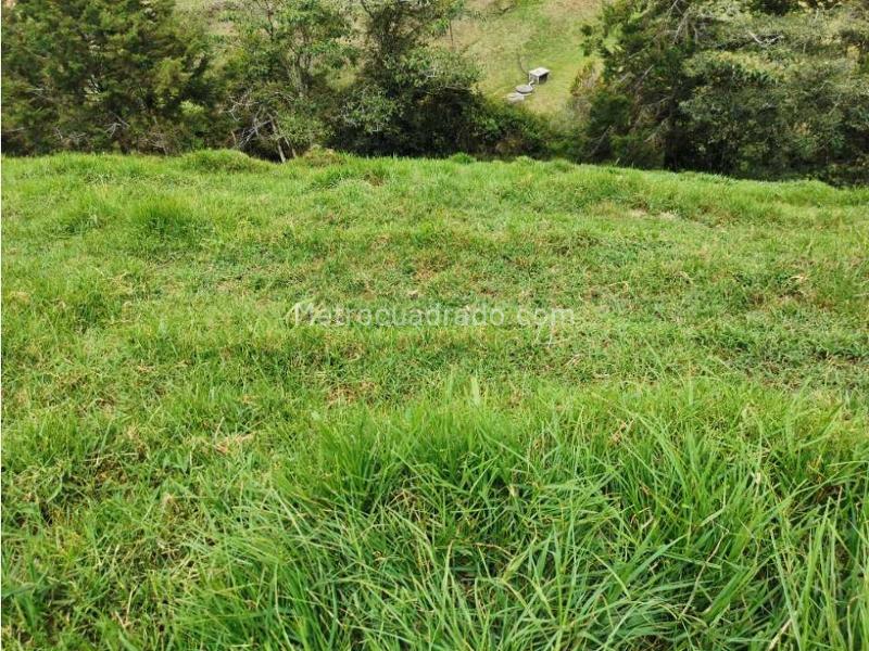 Lote en Venta, Pontezuela, Rionegro - Vista 4