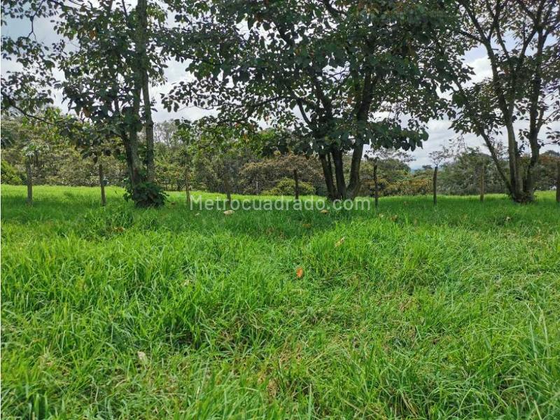 Lote en Venta, Pontezuela, Rionegro - Vista 5