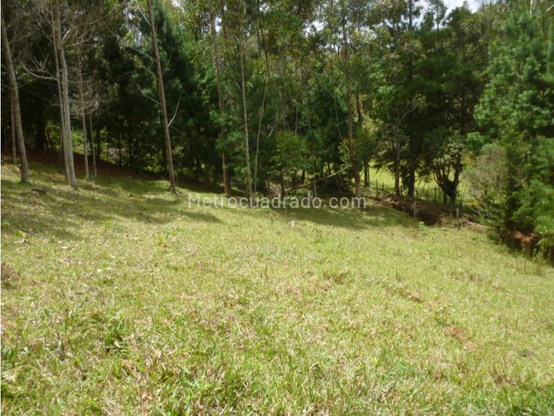 Lote en Venta, Via Retiro Pantanillo, Retiro - Vista 2