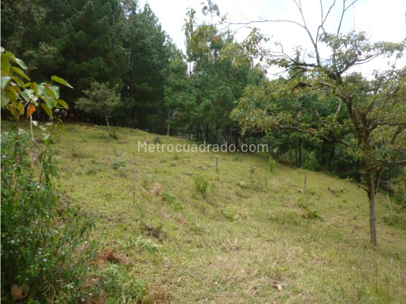 Lote en Venta, Via Retiro Pantanillo, Retiro - Vista 3