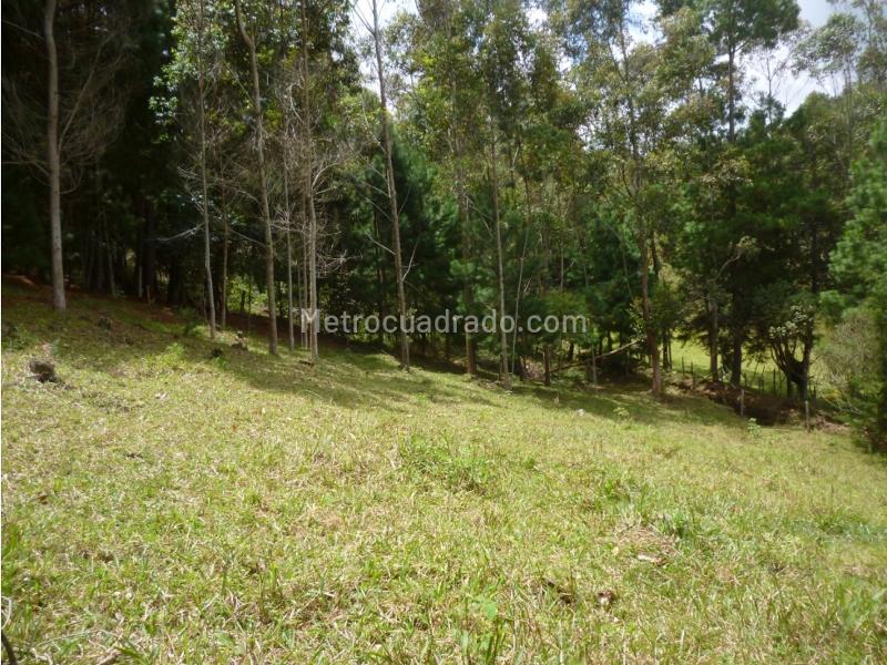 Lote en Venta, Via Retiro Pantanillo, Retiro - Más