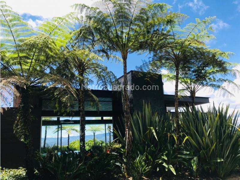 Casa – Rionegro - Más