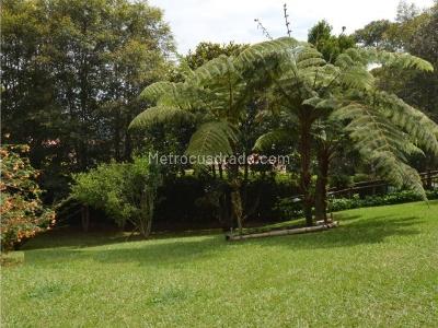 Casa de 4 alcobas en venta en Via Don Diego Llanogrande, Rionegro, 674 m² · foto 11 de 14