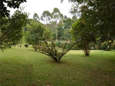 Casa de 4 alcobas en venta en Via Don Diego Llanogrande, Rionegro, 674 m² · foto 12 de 14